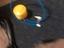 Immagine 2