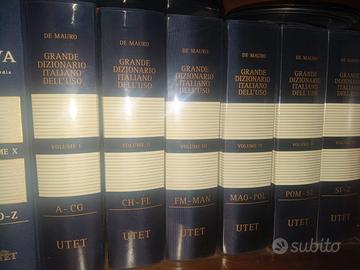 GRANDE DIZIONARIO ENCICLOPEDICO DELL'USO DE MAURO