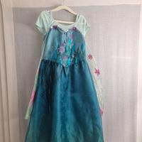 Vestito di carnevale Frozen