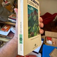 L’ultima valle