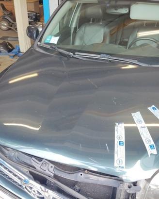 Cofano TOYOTA RAV 4 del 2006