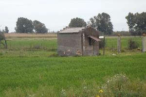Passo Martino, contrada forcito