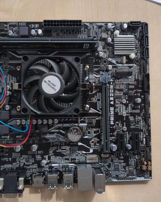 Scheda madre con ram e cpu Aus A320M-K