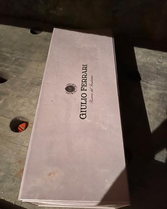 Giulio ferrari rose 2006