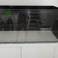 Acquario vasca aperta Amtra