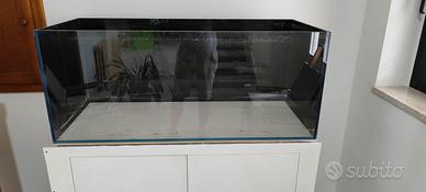 Acquario vasca aperta Amtra