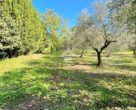 TER. AGRICOLO A VELLETRI