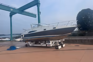 Cigala bertinetti narcalo 29