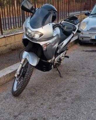 honda transalp 650 