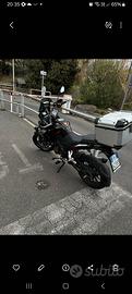 benelli trk251