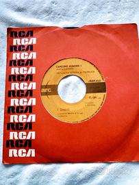 I Girasoli – Canzone Numero 1 / La Ruota