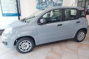Fiat Panda 1.2 Easy - 11/2020