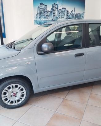 Fiat Panda 1.2 Easy - 11/2020
