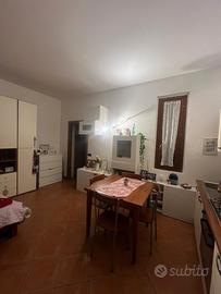 Monolocale arredato libero da aprile