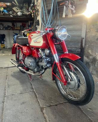 Aermacchi Harley Davidson 250 Ala verde 1961