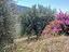 Immagine 12
