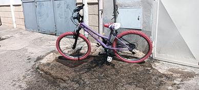 bicicletta ragazza