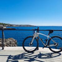 Bici Niner Air Carbon 9 taglia L