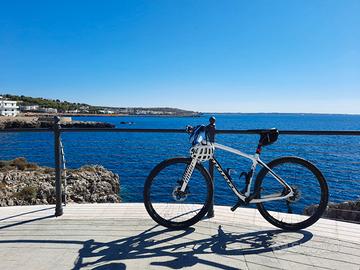 Bici Niner Air Carbon 9 taglia L