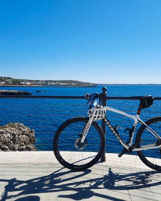 Bici Niner Air Carbon 9 taglia L