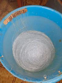 Palamito
