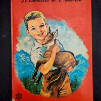 Libro per bambini del 1966