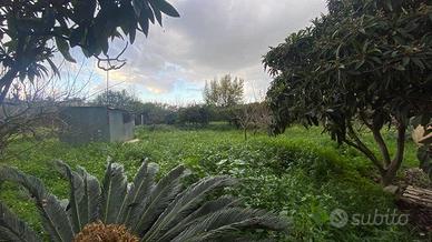 Terreno di 1280 m² a Partinico
