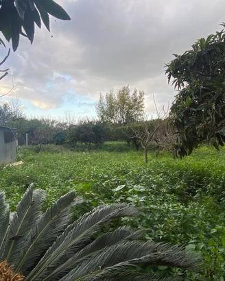Terreno di 1280 m² a Partinico