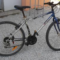 bici baik