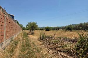 Terreno Agricolo Barcellona Pozzo di Gotto