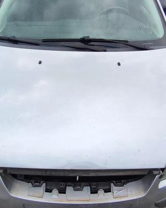 FORD FOCUS SW 2006 COFANO ANTERIORE