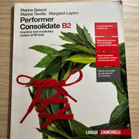 Performer Consolidate B2