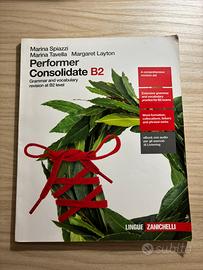 Performer Consolidate B2