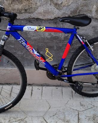 Bicicletta Bottecchia - Mountain bike ragazzino