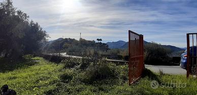 Terreno Agricolo Santa Lucia del Mela