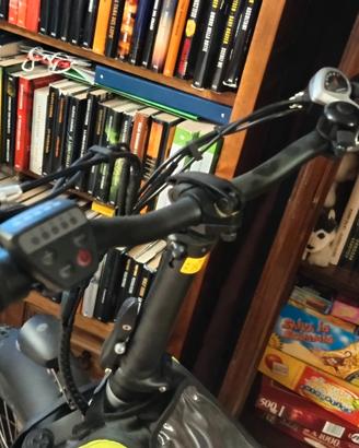 bicicletta 
