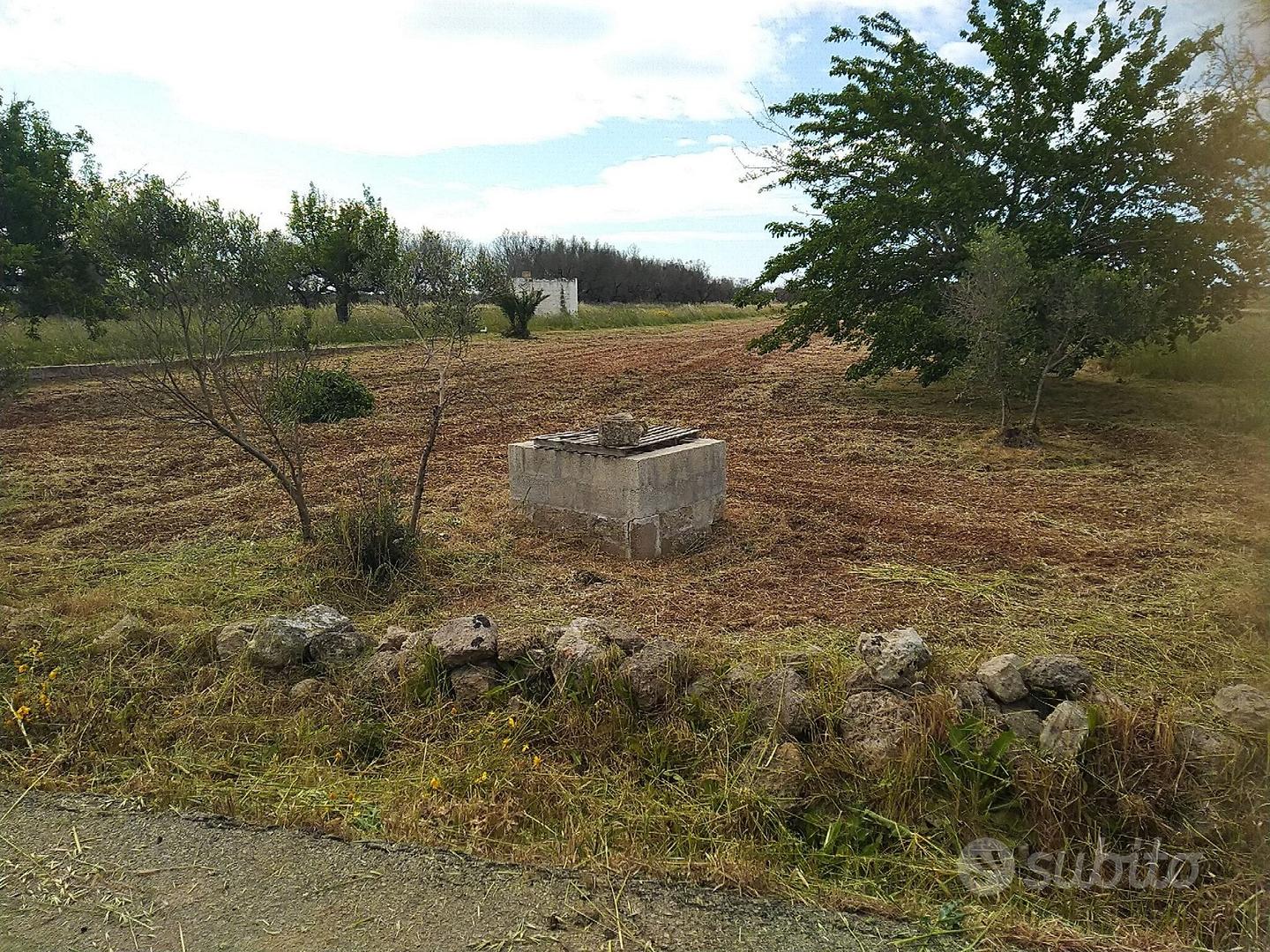Terreno con due pozzi - Vista 5