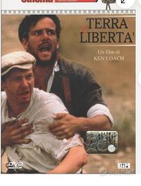 Ken Loache 4 film in dvd originali