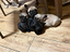 Immagine 4