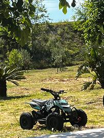 quad nitro