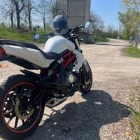 Benelli 302 bn 2017