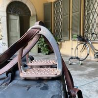 Equitazione Staffe con staffili