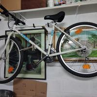 Bicicletta Vintage Trek Antelope