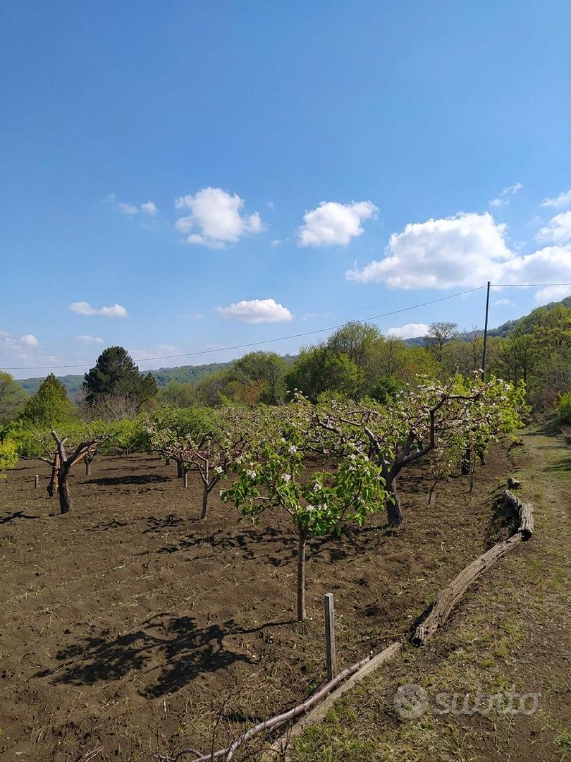 Rustico con terreno sull'Etna - Vista 4