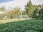 Immagine 20