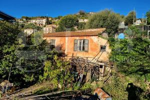 Rustico/Casale/Corte Sanremo [Cod. rif 3387916VRG]