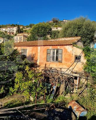 Rustico/Casale/Corte Sanremo [Cod. rif 3387916VRG]