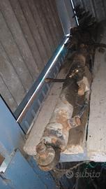 2 pistoni idraulici martinetti