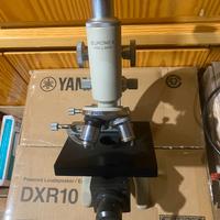 Microscopio Professionale EUROMEX HOLLAND