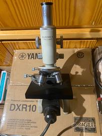 Microscopio Professionale EUROMEX HOLLAND